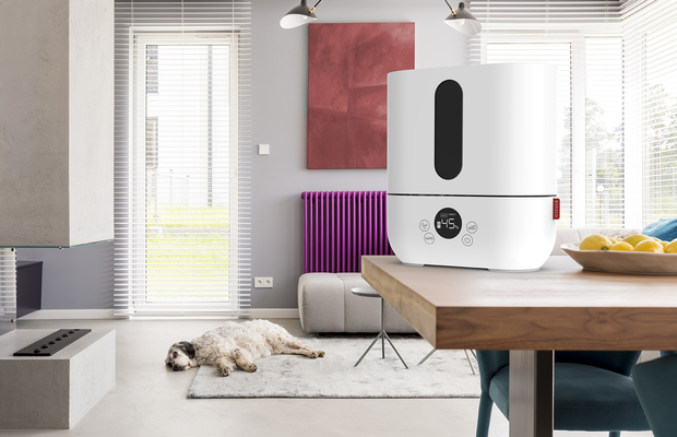 U250_Humidifier Ultrasonic_Living_Room_Dog_