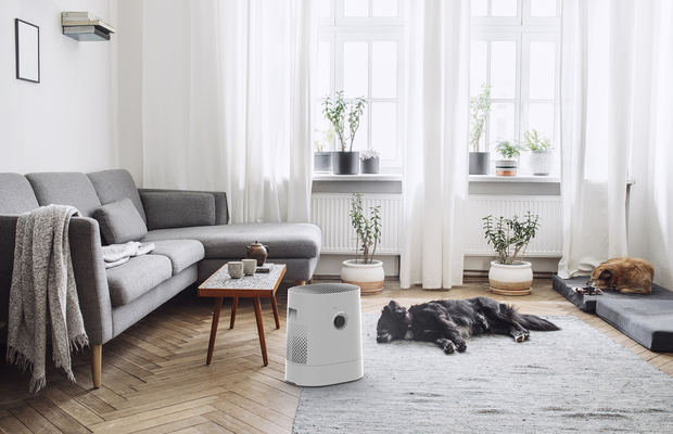 BONECO_H320_HYBRID_Purifier_Humidifier_Living_Room_Dogs